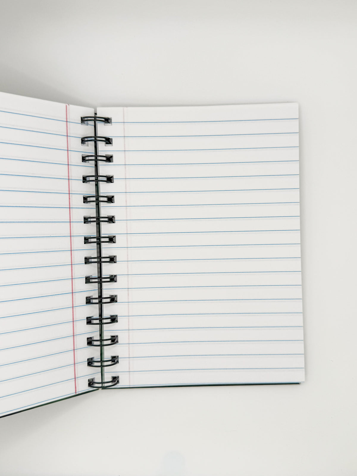 Evil Mother Journal