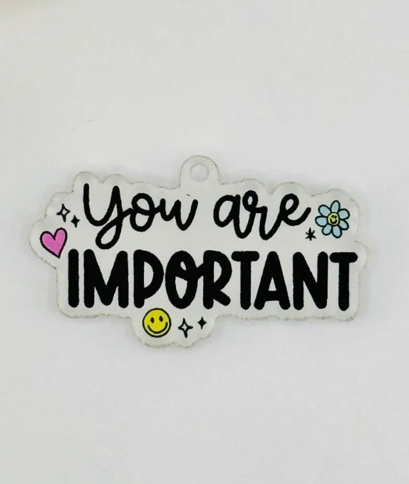 Dust Plug - You Are Important