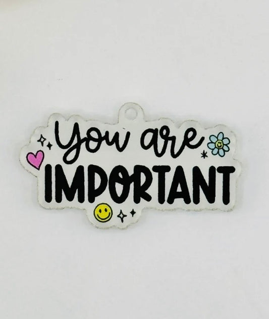 Dust Plug - You Are Important